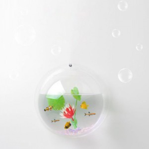 Beautiful Aquarium On Wall