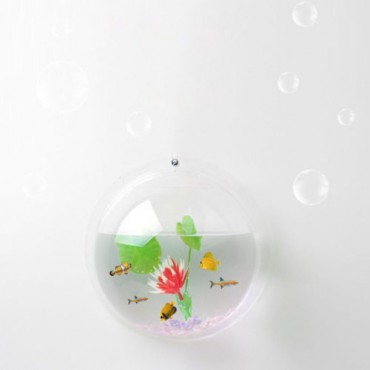 Beautiful Aquarium On Wall